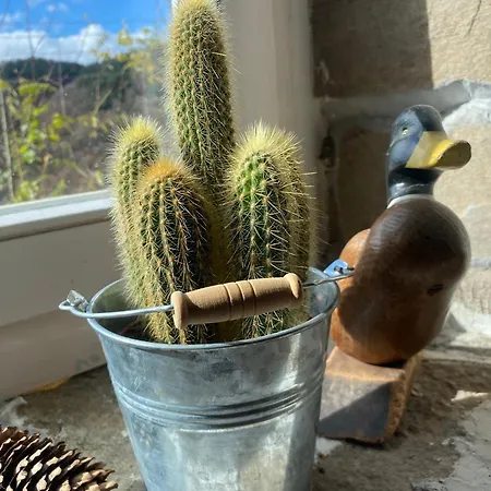 Semesterbostad Ta Petrina