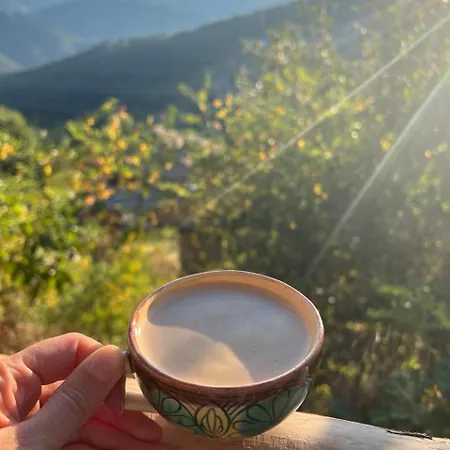펜션 Ta Petrina Selishte (Smolyan)