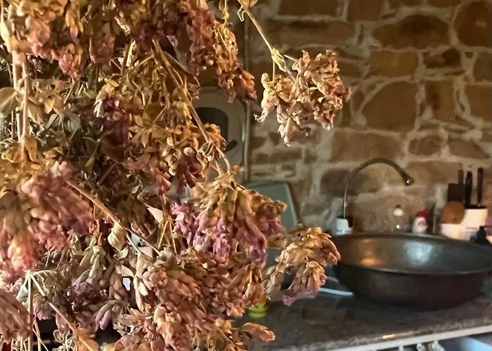 Feriehus Ta Petrina *